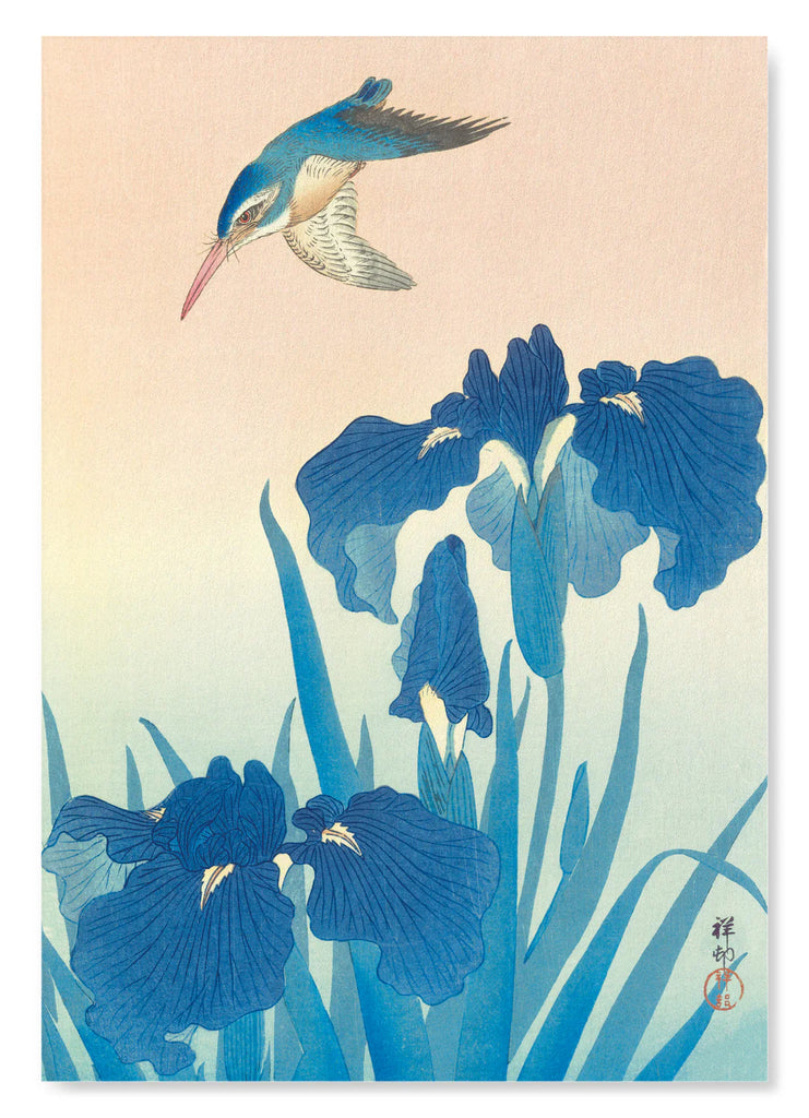 Kingfisher and Iris