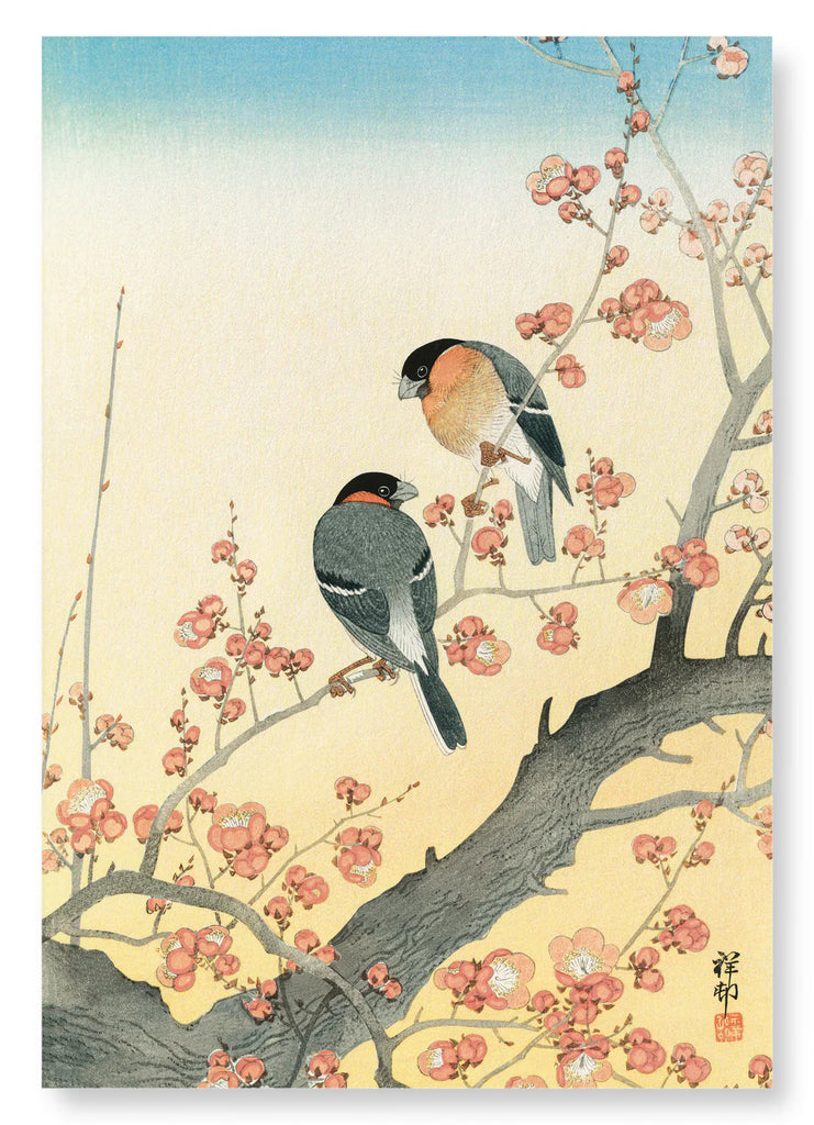 Bullfinches and Plum Blossoms print