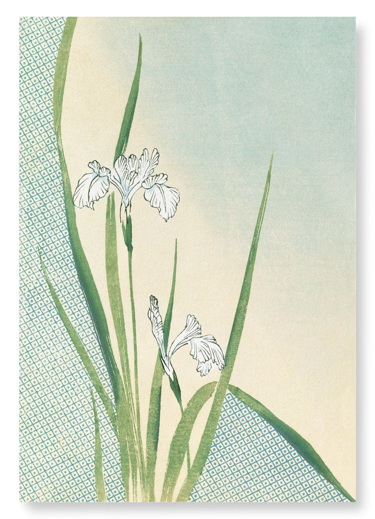 Kimono Hem - Irises