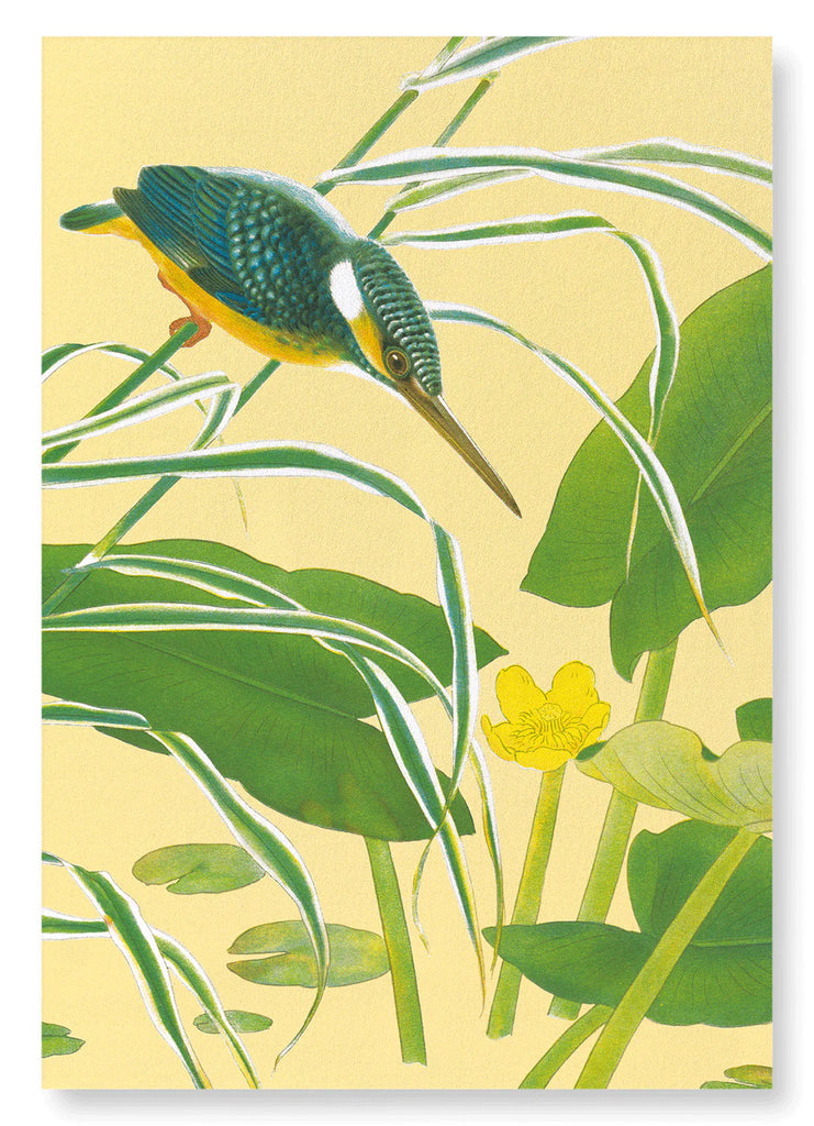 Kingfisher with East Asian Yellow Water Lilly print