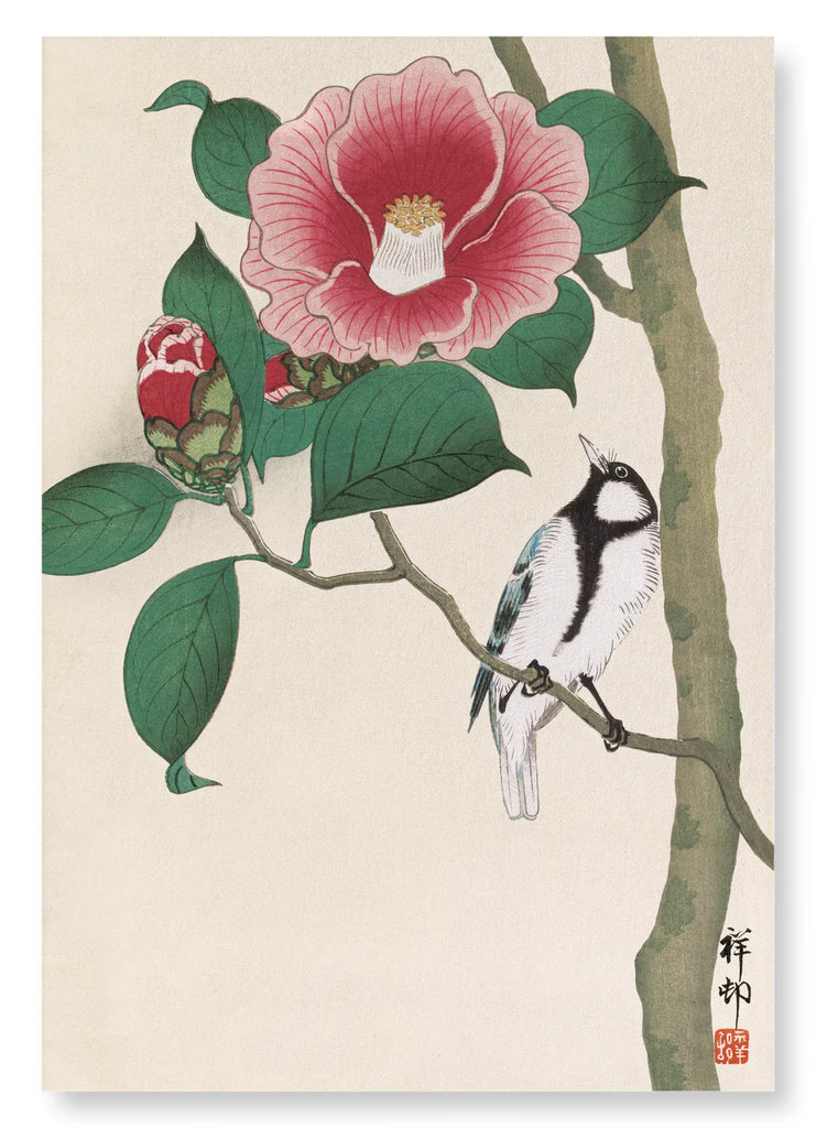 Japansese Bunting and Camellia print