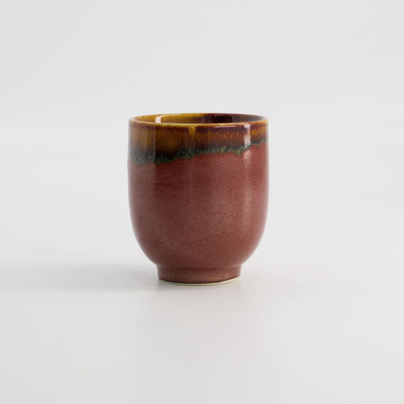  Yunomi Nuri Wake Tetsuaka Cup in rust